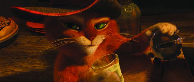 Regarder le chat potté gratuit