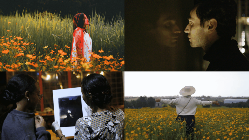 Le festival de Rotterdam lance le programme Safe Harbour